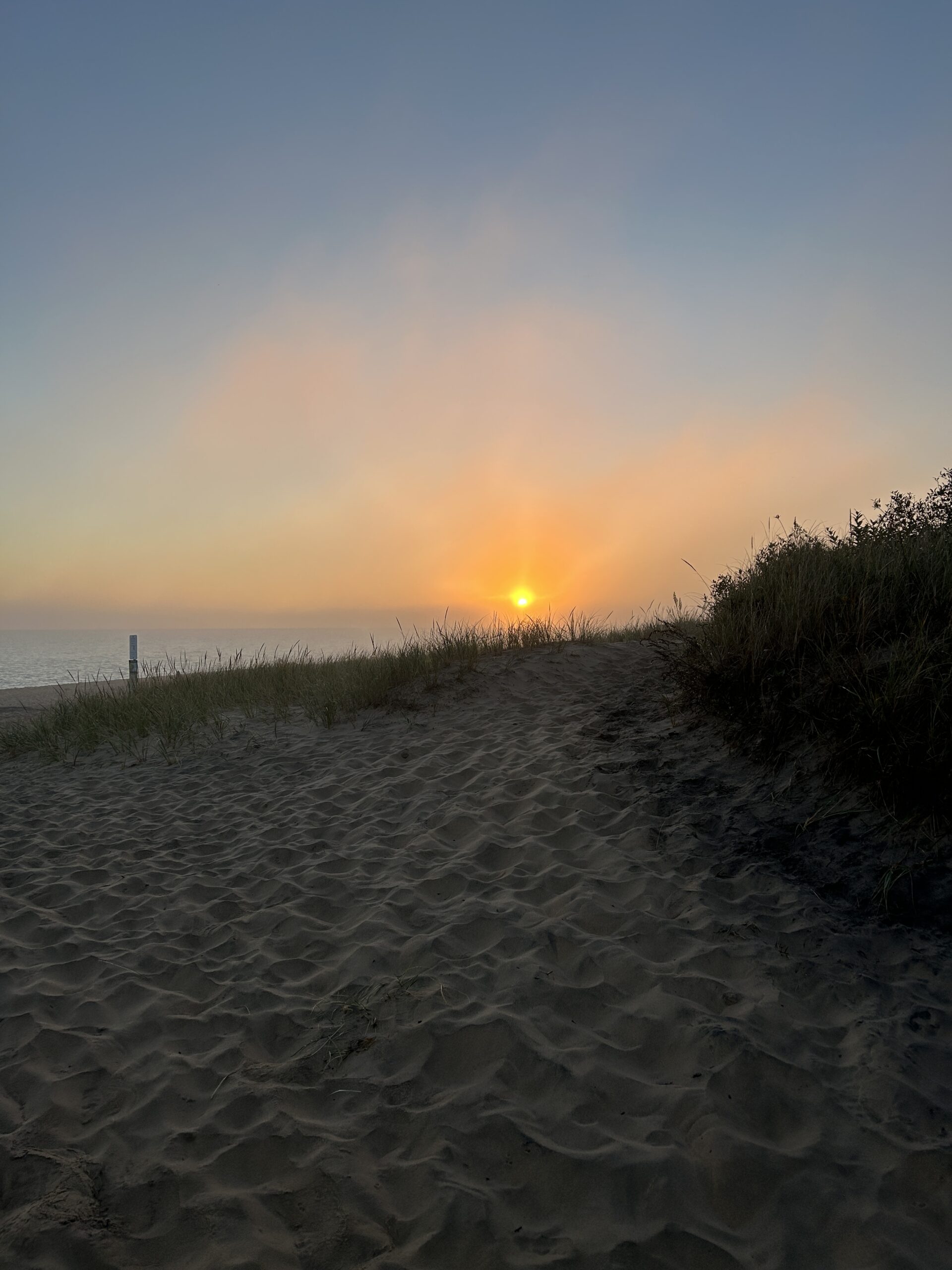 Laughing Whitefish Bird Alliance