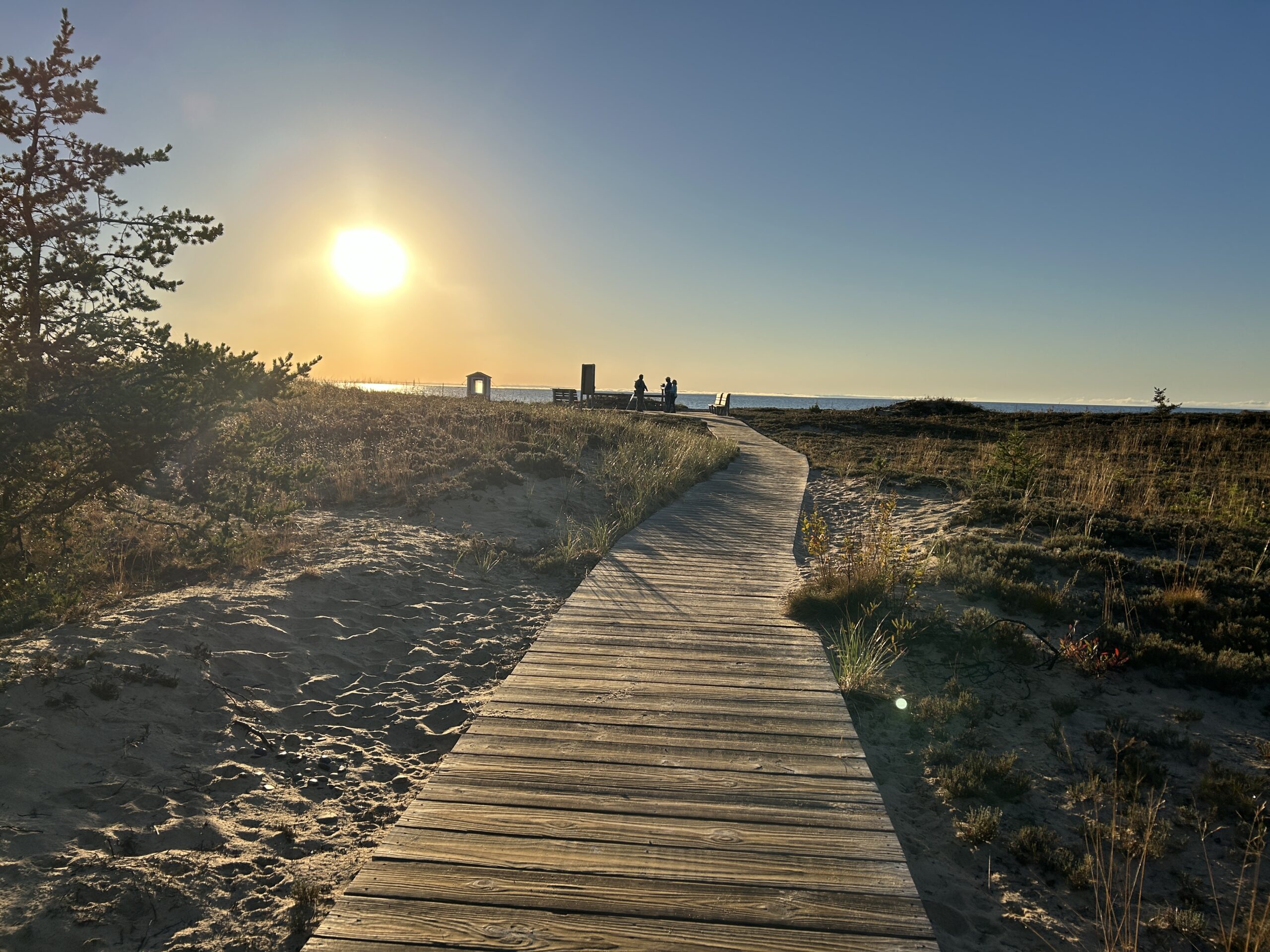 Whitefish Point Bird Outing, September 26-28 2025
