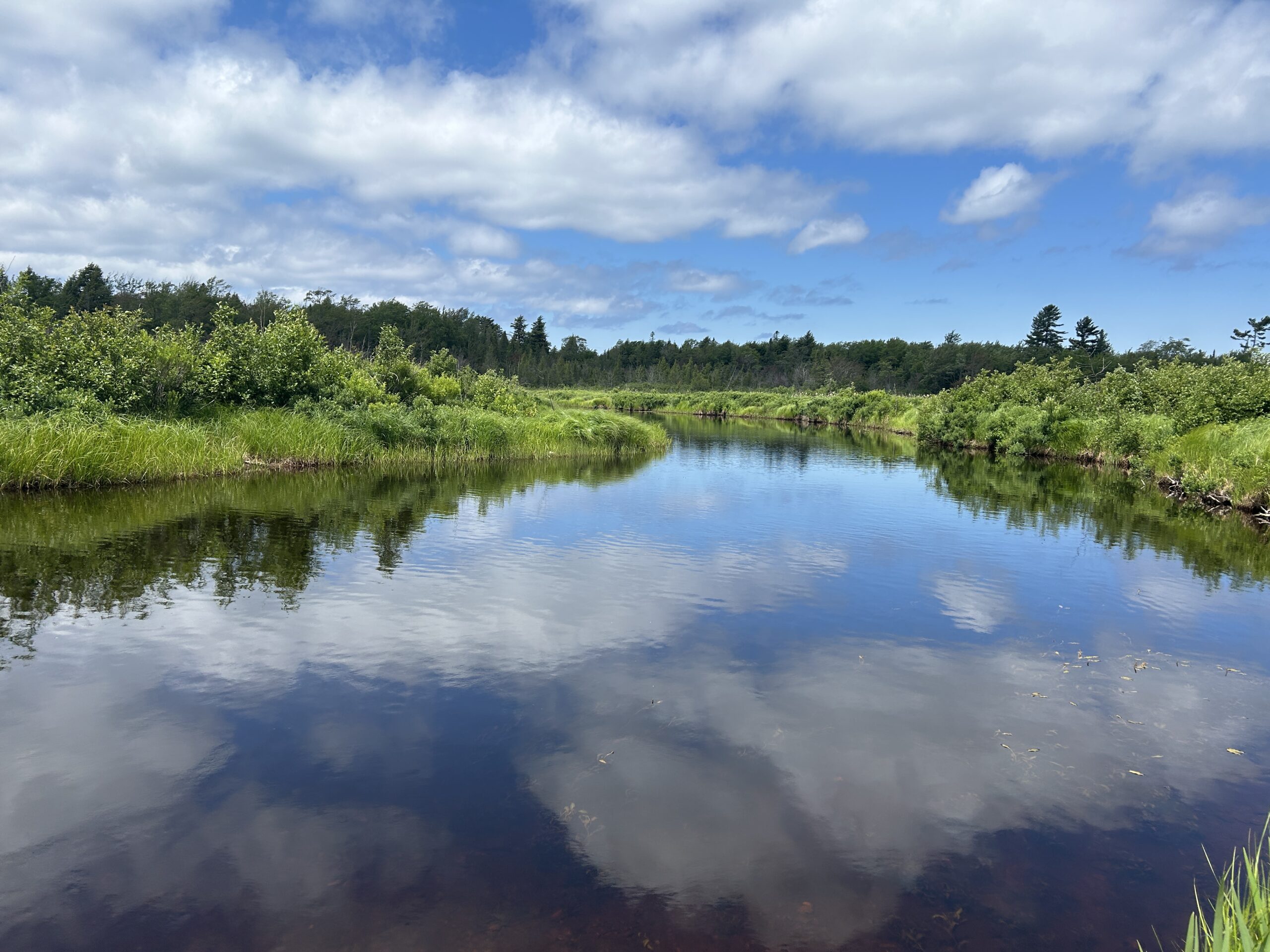 Seney NWR Outing