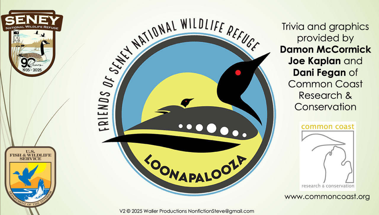Seney Wildlife Refuge Loonapalooza Jeopardy Game!