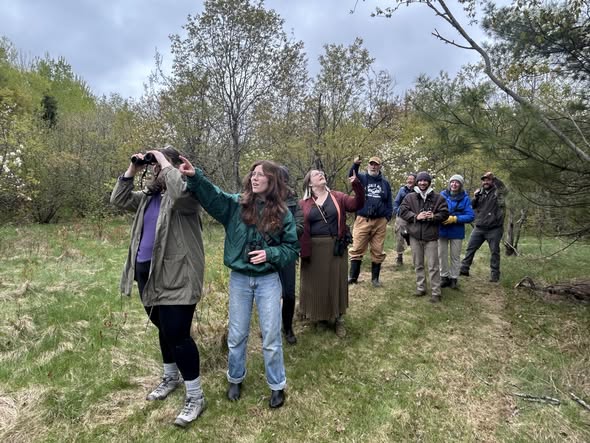 Birding at Matt’s Place